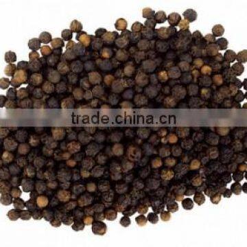 Price of FAQ Black Pepper