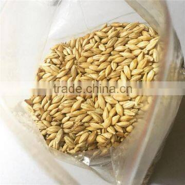 Australia barley for beer factory spot supply