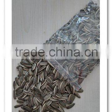 chinese black sunflower seeds 5009