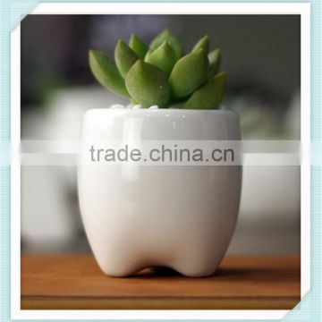 ceramic small tooth flower pot with tooth shape planter