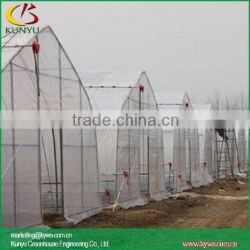 Low Cost High Tunnel Greenhouse for Tomato Growing