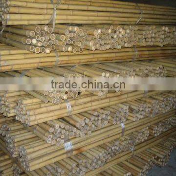 Bamboo Poles