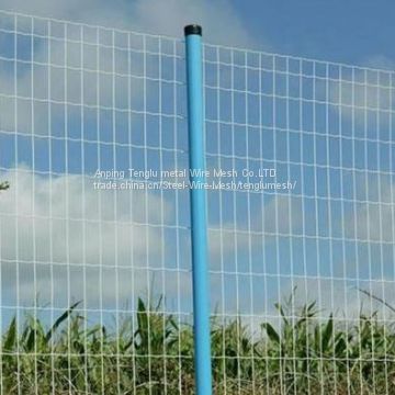 PVC Coated Euro Fence/Wire Fencing/Euro Welded Fence/Electro Welded Wire Mesh