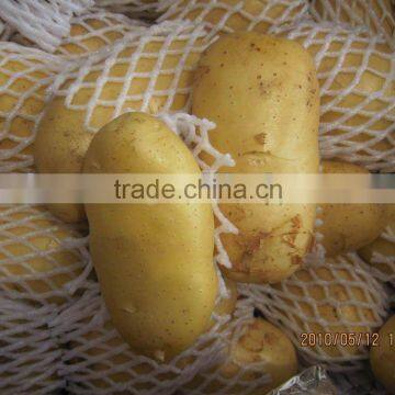 fresh sweet potato 10kg Ctn