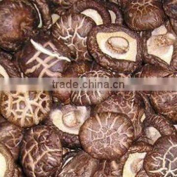 dried shiitake mushroom prices magic mushrooms dried in 10kg bag