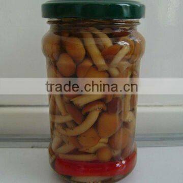 nameko mushroom in 314ml jar