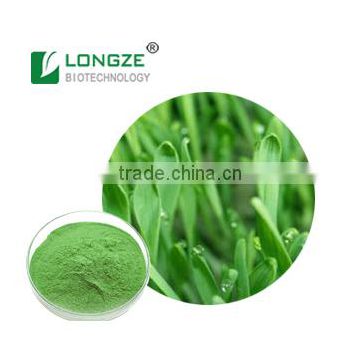 Food Grade High-quality Wheat Grass Juice Powder, Organic Wheatgrass Juice Powder for Food and Beverage