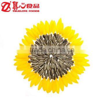 Sunflower Seeds of Market Price
