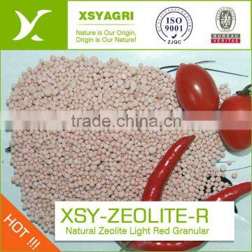 Aquaculture/water Treatment----Nature Zeolite Granular
