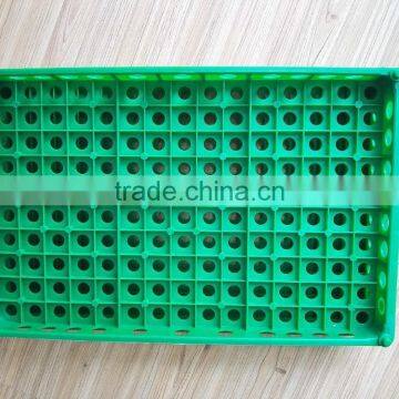 150 quail eggs plastic crate