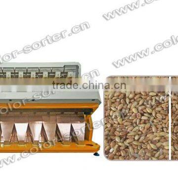 High Output Capacity Wheat Color Sorter Machine/wheat Separator photo-2