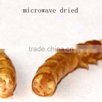 Cat Food Freeze 2.5--2.8 cm Dried Mealworms;Dried Mealworms For Cat photo-2