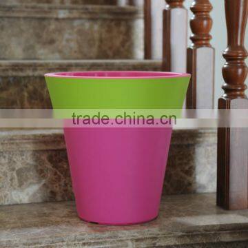 hydroponic Strong and durable succulent plants