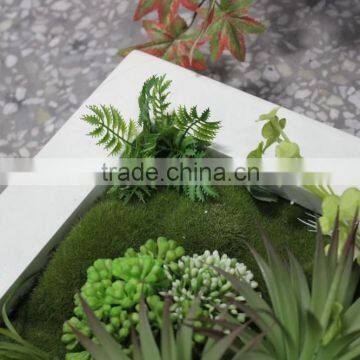 Indoor and Outdoor Artificial Succulent Plants Wall New Item Indoor Plant Wall photo-3
