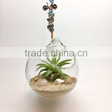 Hanging Glass orb ball Terrarium Ornaments