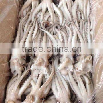 Illex Argentina Squid Tentacle 400-600g photo-2