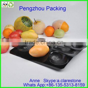 Pengzhou Plastic Oven Baking Tray photo-3