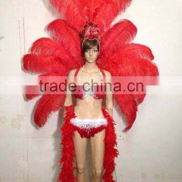 Ornate womens carnival feather costumes