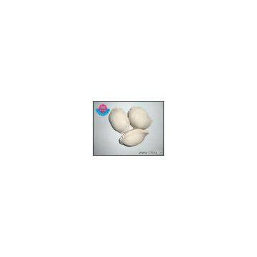 caustic calcined magnesite