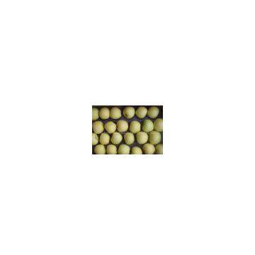 Sopply fresh golden apple