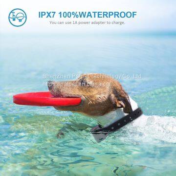 Europe 600M Remote Controlled Electric Dog Vibration Collar photo-5