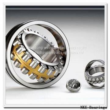 NKE Bearings