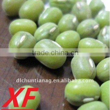 Organic Green Mung Bean