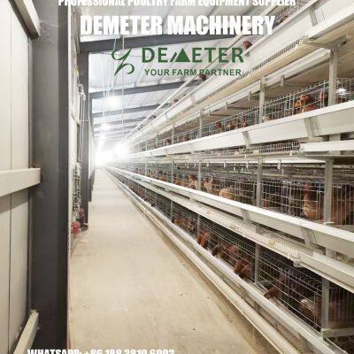 Layer Chicken Battery Cage Automatic Equipment photo-2
