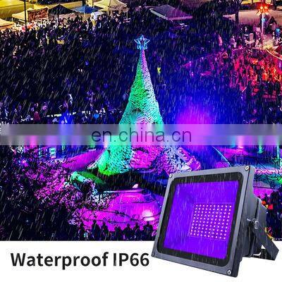 60W UV LED Flood Light With Plug IP66 Waterproof for Party Stage Outdoor or Indoor UV Flood Light photo-4