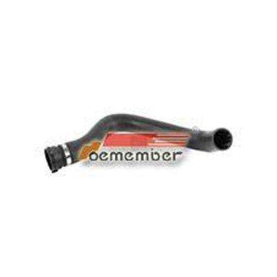 41270112 Ruian Factory Radiator Hose For Iveco