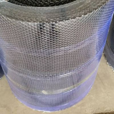 Chicken Aviary Safety Netting Plastic Garden Mesh Agricultural Planting Plastic Plain Mesh