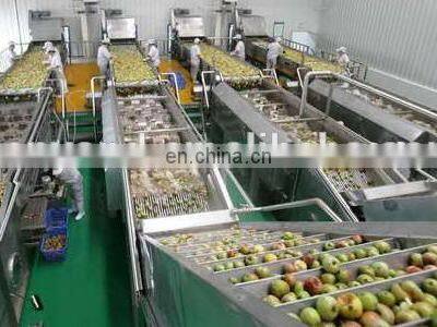 Apple Juice Production Line Orange Juicer Machine photo-3