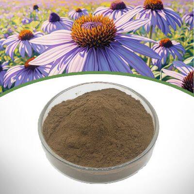 Echinacea Purpurea Extract