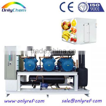 parallel condensing unit for cold room keep fruit fresh