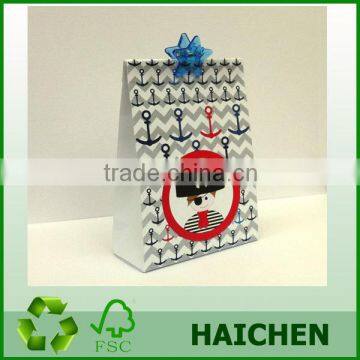 Pirate Chevron Gift Bag