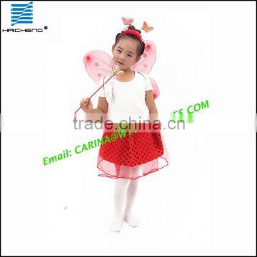 Beautiful Princess Costume With wing