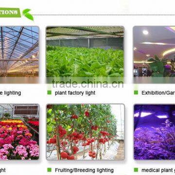 Best Sellers Full Spectrum 300W Led Grow Lights photo-6