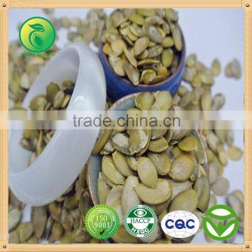 Snow White Pumpkin Kernel/ best agricultural products