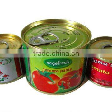 Tomato ketchup, factory direct sales, 70grams X100tins,Brix 24-26%,26-28%28-30%