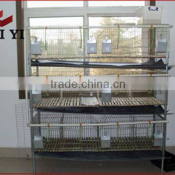 Galvanized Metal Cage With Rabbit Water Feeder For Mother Rabbit photo-4