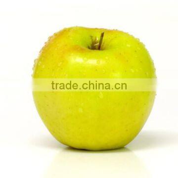 Chinese Fresh sweet Golden delicious apple with good quality