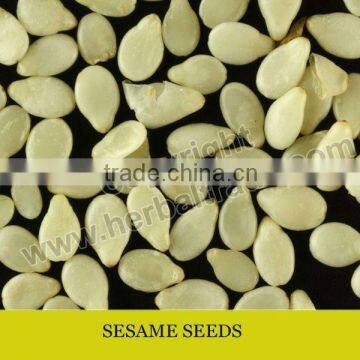 Natural sesame seeds