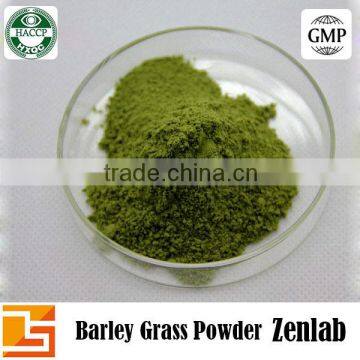 High Quality Barley Grass Juice P.E.
