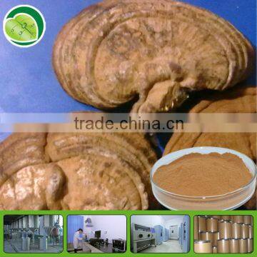 High quality and steady supply reishi mushroom extract