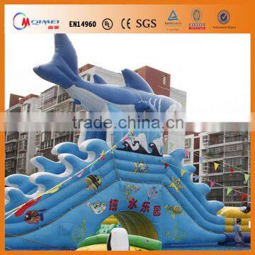 newest dragon indoor water park equipment for wild fun