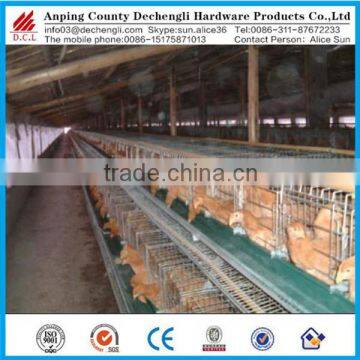 A type galvanized chicken farm hen cage for sale