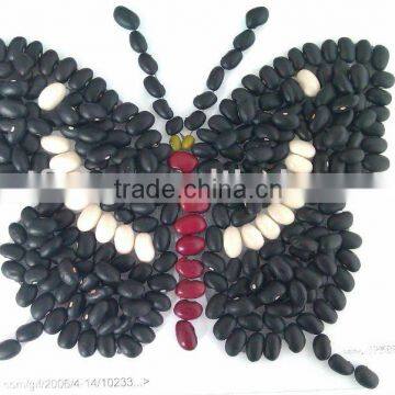 China Black Kidney Bean( 2010 crop, hps, heilongjiang origin)