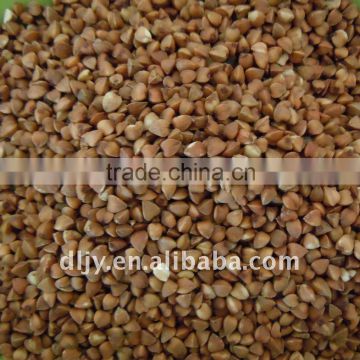 Buckwheat Rice New Crop 2011