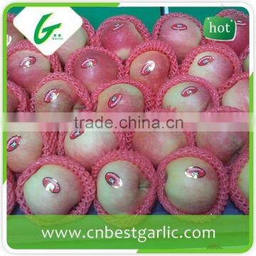 Best price fresh fruit red gala apple