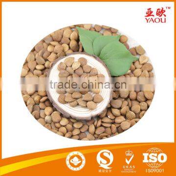 Wholesale price apricot kernels